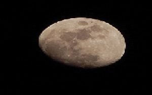 LUNA.jpg