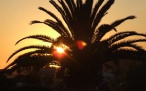 Palma de Mallorca 3.jpg