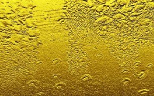 ORO3_thumb307_