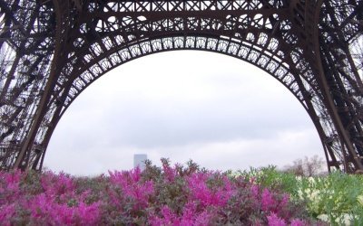 francia 12