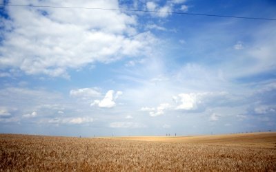 UKRAINE 1