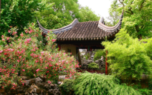 16 CINA