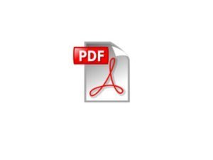 PDF