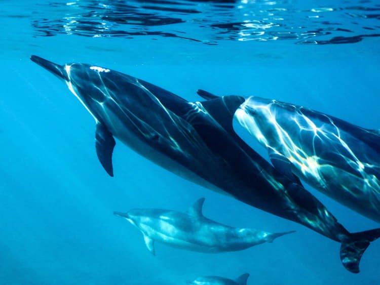 tj-fitzsimmons-vQGwNgWl2Ew-unsplash-BNP PARIBAS Asset Management-Economia Blue