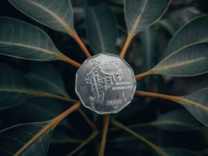 Fidelity ETF