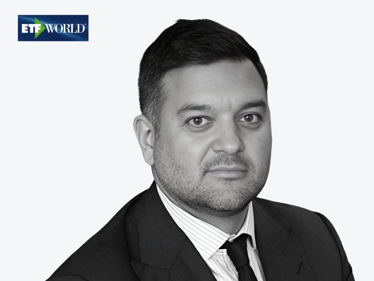 Halliday Thomas Norstella