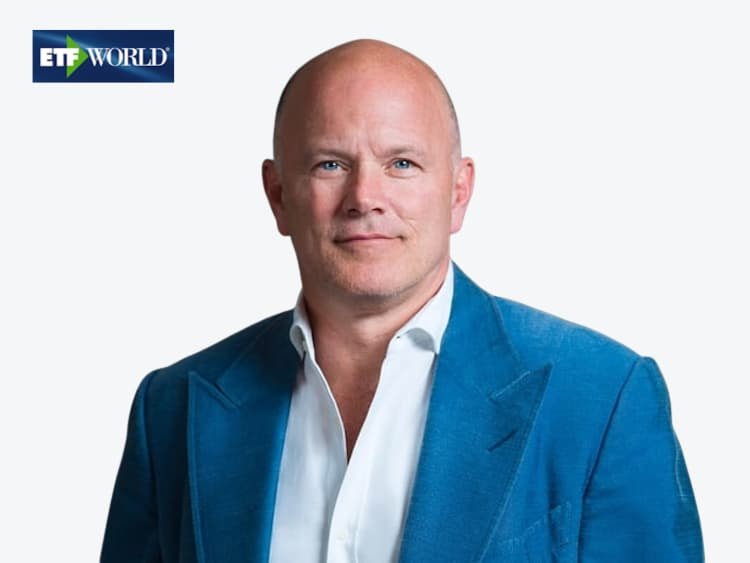 Novogratz Mike Galaxy