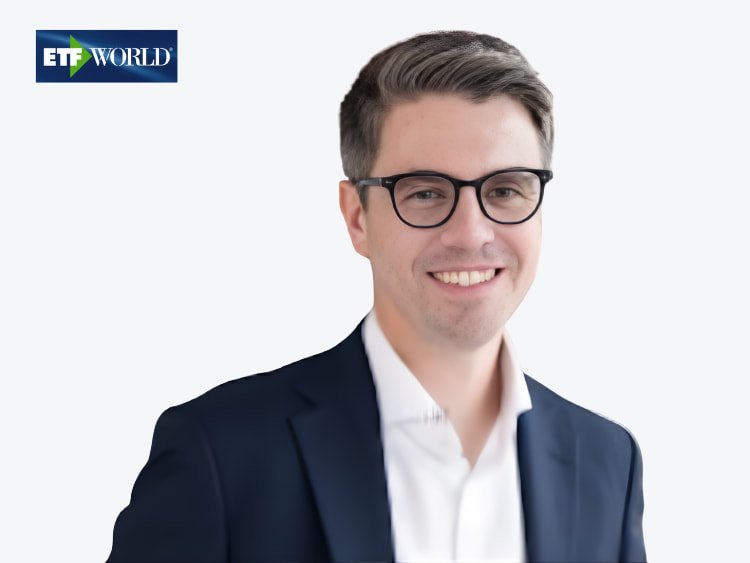 Balzanella Robert Vanguard