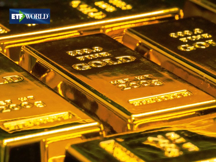 Zica Gold